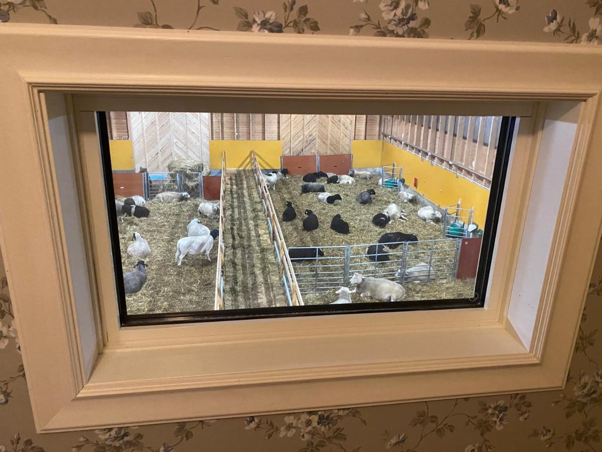 Newly Built Apartment Next Door To The Sheep Norrfjarden Exterior photo