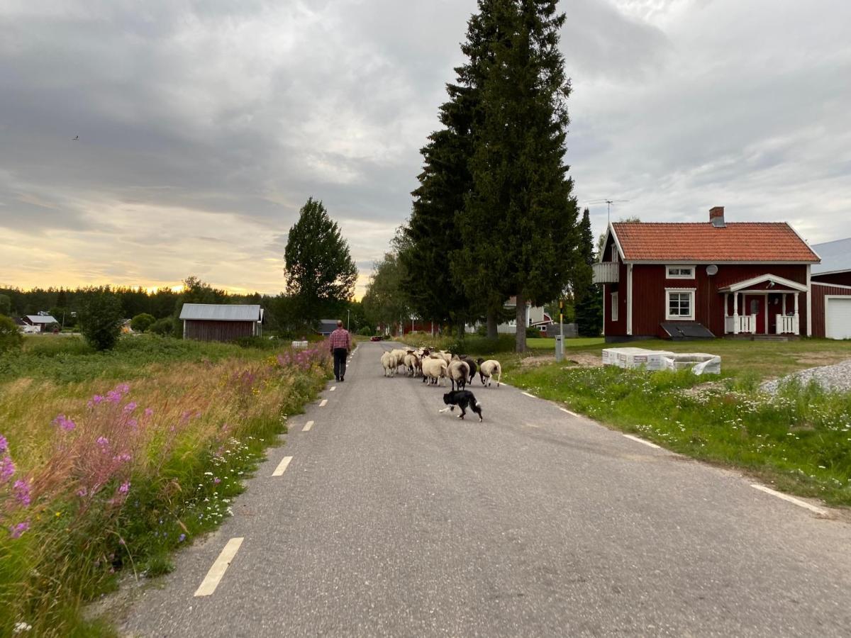Newly Built Apartment Next Door To The Sheep Norrfjarden Exterior photo